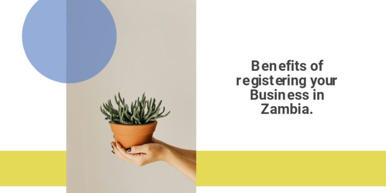 13 Benefits of Registering Your Business in Zambia